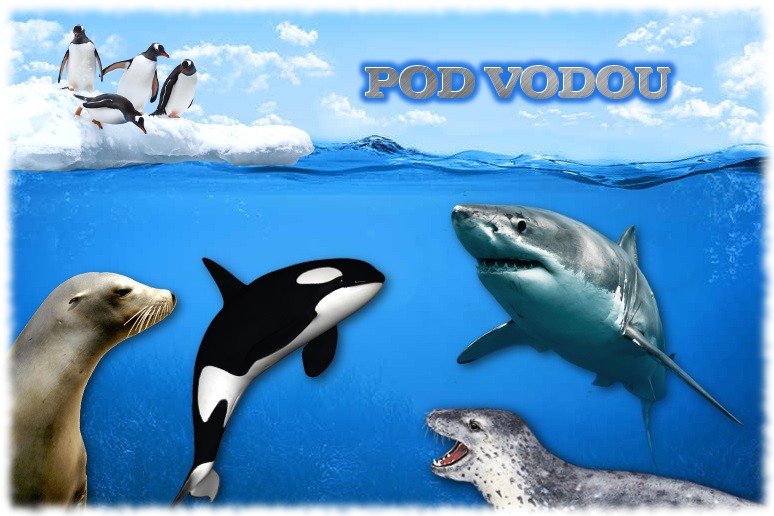 Predátoři pod vodou Predátoři pod vodou