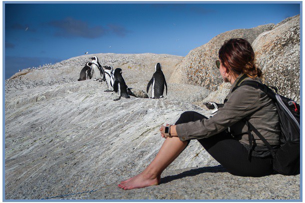 Člověk a tučňáci brýloví Člověk a tučňáci brýloví