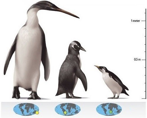 Možné podoby vyhynulých druhů Možné podoby vyhynulých druhů