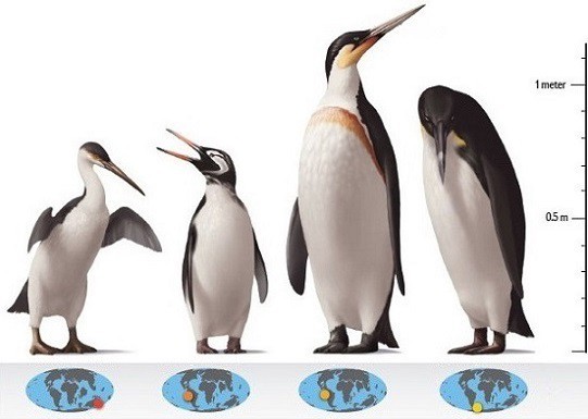 Možné podoby vyhynulých druhů Možné podoby vyhynulých druhů