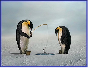 Tučňáci tuhle na lovu Tučňáci tuhle na lovu